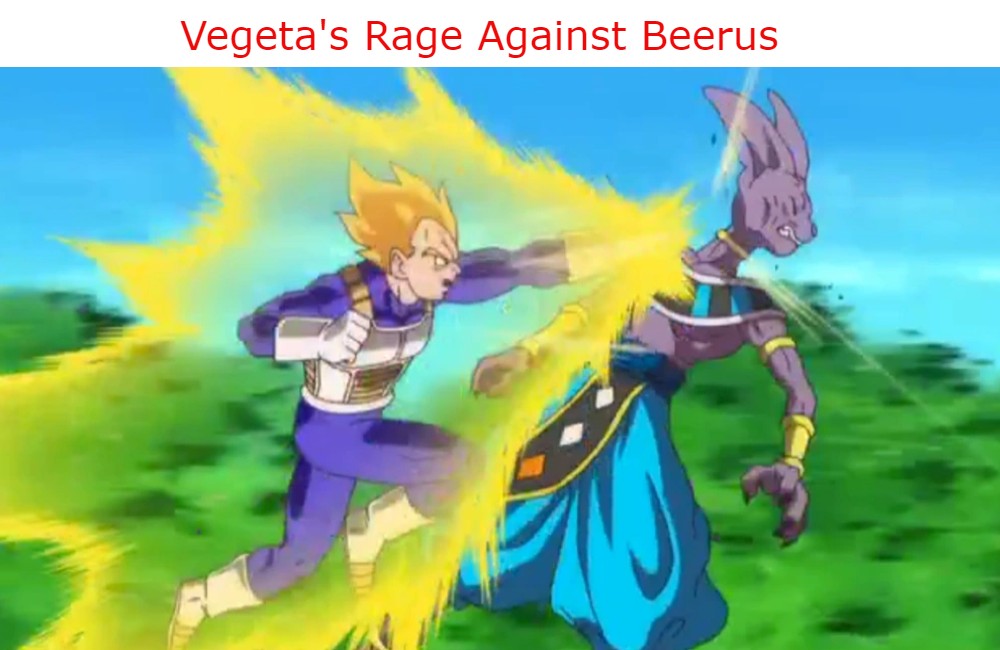 Vegeta's Rage Against Beerus