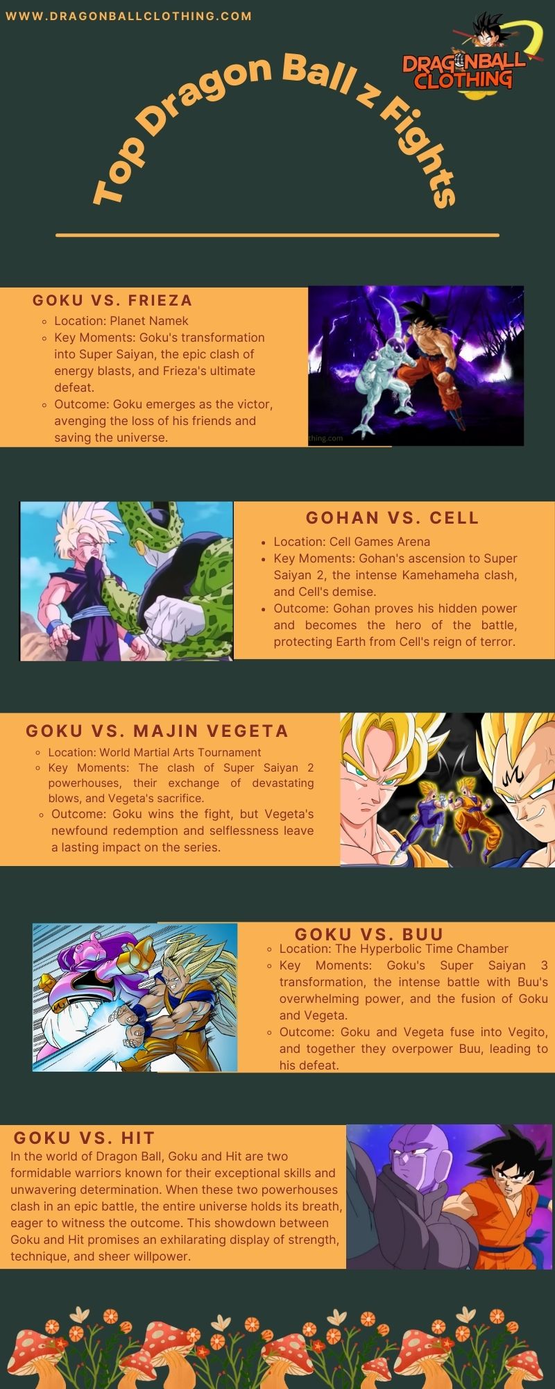 Top Dragon Ball z Fights