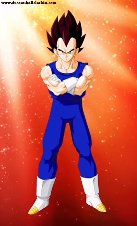 Vegeta the sayian hero