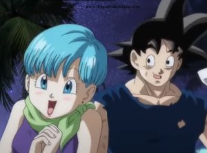 bulma and goku