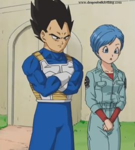 bulma and vegeta